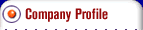 Company Profile